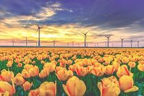 Lệ phí xin visa Hà Lan