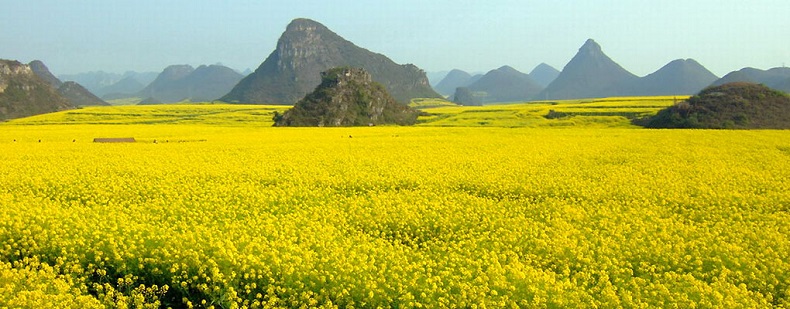 Một số lưu ý khi đi du lịch Trung Quốc 2