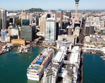 Những điều nên làm ở Wellington