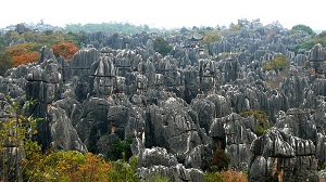 Khám phá rừng đá Thạch Lâm Trung Quốc