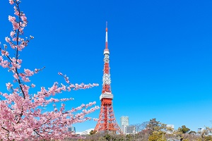 Tháp Tokyo  Travel Japan Cơ quan Xúc tiến Du lịch Nhật Bản