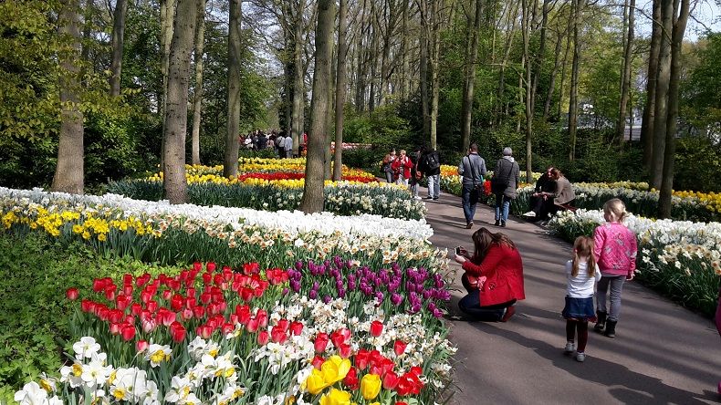 Chiêm ngưỡng vườn hoa Keukenkof lớn nhất thế giới tại Hà Lan Vuon-hoa-keukenkof-7