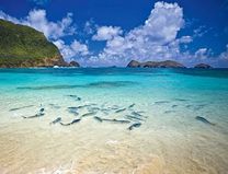 Xin visa du lịch Úc có khó không