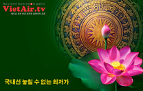 국내선 놓칠 수 없는 최저가