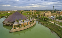 Làng sen Việt Nam