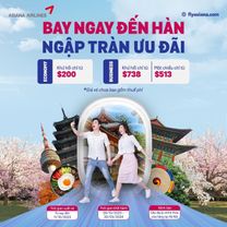Mùa thu Hàn Quốc ưu đãi ngập tràn cùng Asiana Airlines