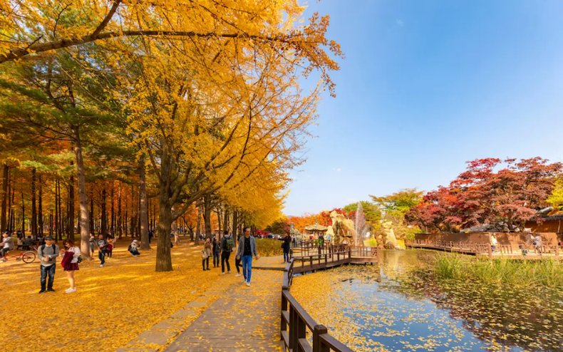 khám phá Incheon mùa thu - ưu đãi Asiana Airlines