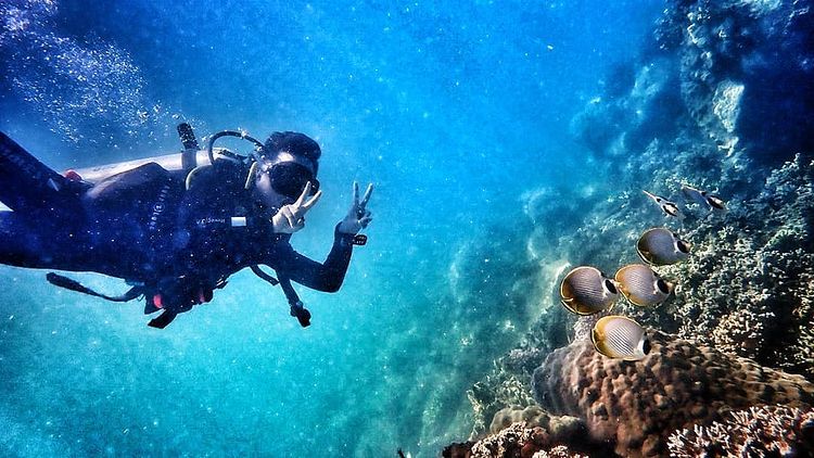 ngắm san hô Đầm Môn - Vịnh Vân Phong