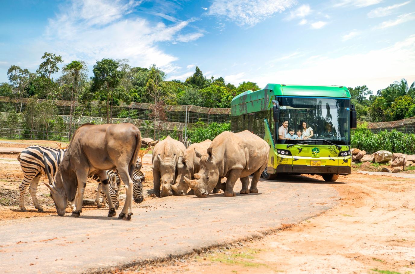 Vinpearl Safari Phú Quốc khu Safari hoang dã 