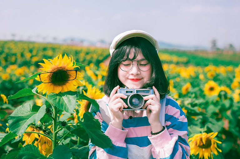 Hoa Đà Lạt - đồi hoa hướng dương trên đèo Tà Nung