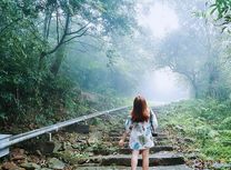 Vườn quốc gia Tam Đảo