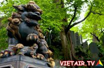 Vé máy bay đi Chiba