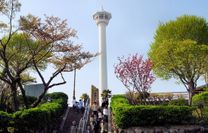 Vé máy bay đi Busan