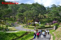 Vé máy bay Sài Gòn đi Đà Lạt