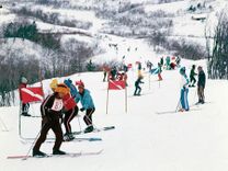 Đi du lịch Hàn Quốc mùa nào đẹp nhất ?