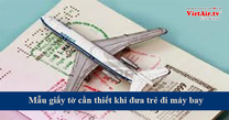 Những mẫu giấy cần phải biết khi đưa trẻ đi cùng máy bay