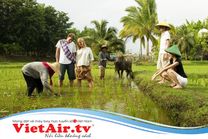 Những bí quyết cần nhớ ngay khi đi du lịch homestay