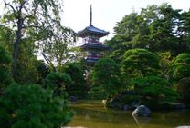 Vé máy bay từ Đà Nẵng đi Sendai