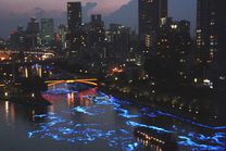 Vé máy bay Vietnam Airlines đi Osaka