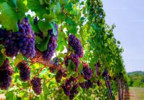 Vé máy bay Vietnam Airlines đi Thái Lan